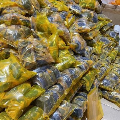 모충 E345D E349D를 위한 Purple Horn 굴착기 엔진 방석